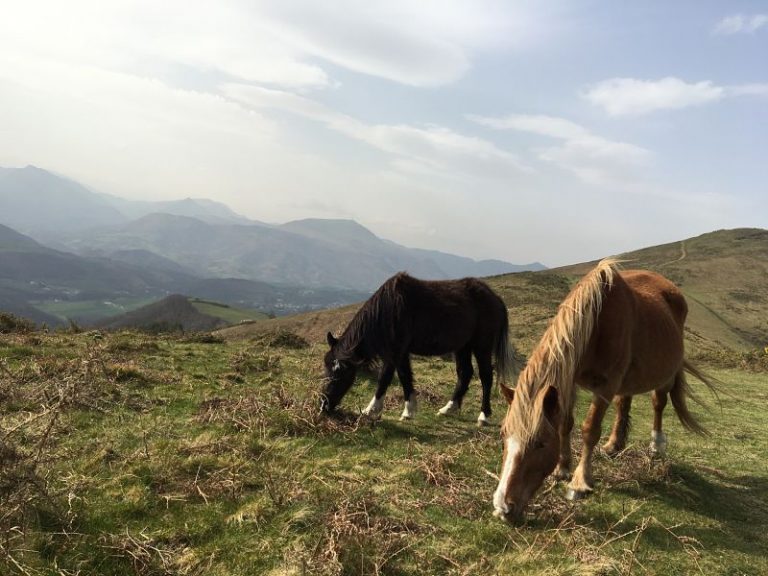 Site officiel de la Commune de MACAYE Commune de MACAYE