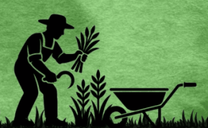 Lire la suite à propos de l’article Transmission des savoir-faire en montagne basque