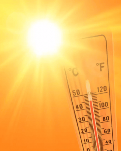 Lire la suite à propos de l’article Alerte canicule