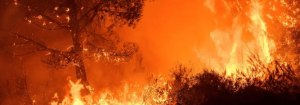 Lire la suite à propos de l’article Informations risque incendie
